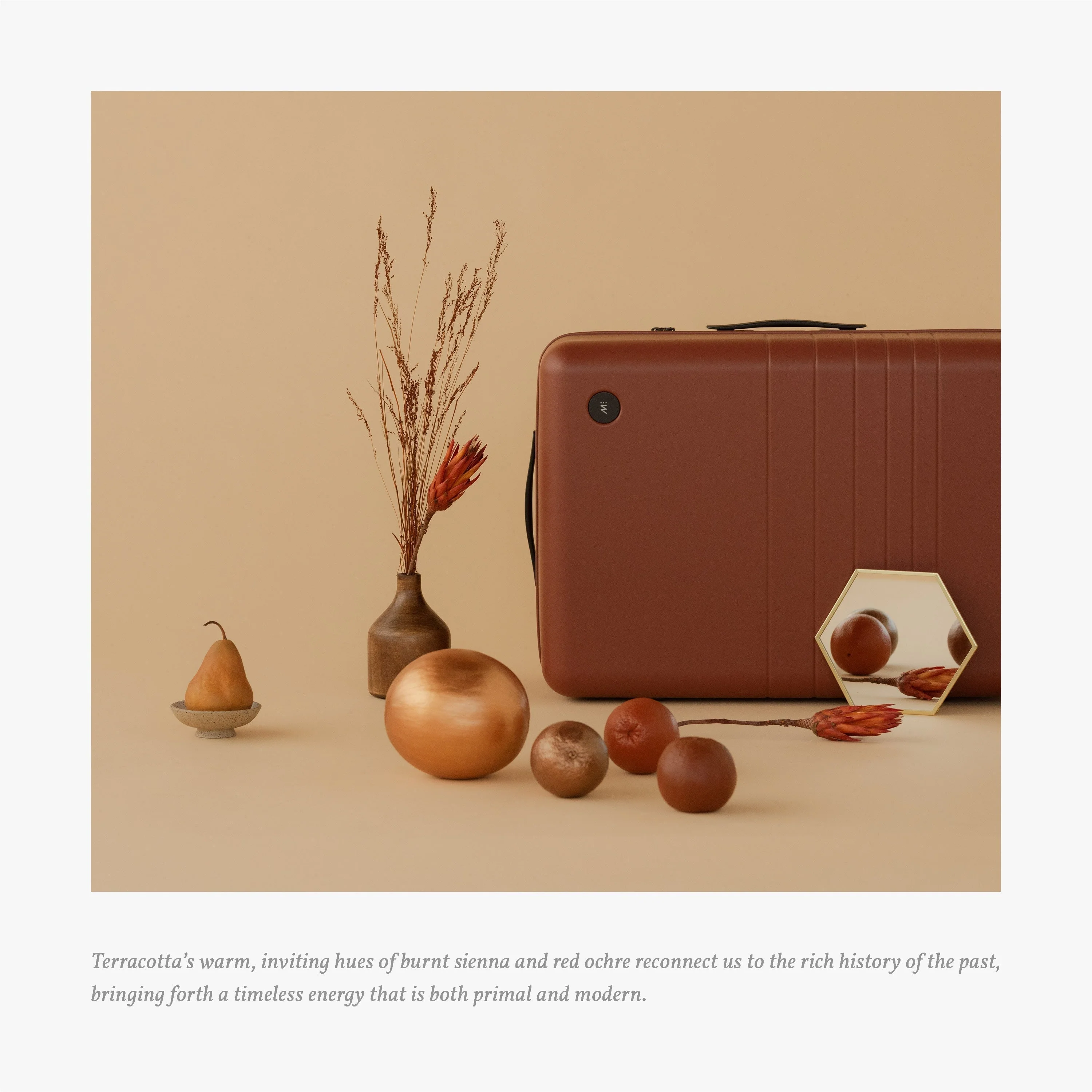 Carry-On Pro Plus - Image 92